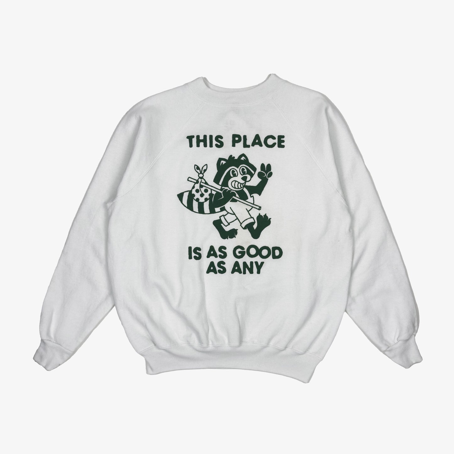 (L) This Place Raccoon Vintage Sweatshirt